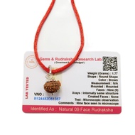 9 Mukhi (9 Face Rudraksha) Lab Certified Original Rudraksha Bead with Red Thread