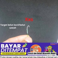 KAIL PANCING BELUT SAWAH PALING KECIL/UREK BELUT SAWAH SIZE XXS , TARGET BELUT SAWAH KECIL