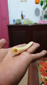 pipa rokok iga duyung tulang duyung