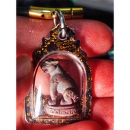 Keow Suar Lp Tee - Tiger