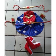 Wonder woman costume/ superhero costume women's costume wonder woman's/dress