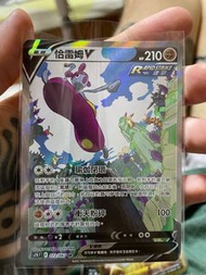 PTCG 恰雷姆 V SR 異圖