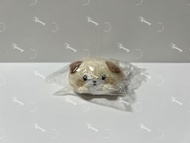 Kokoro Araguma 浣熊 手玉 Mini Plush 