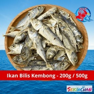 TQT SEKINCHAN Ikan Bilis KEMBONG Gred A Rangup 200g+- 500g+- Borong Dried Anchovy