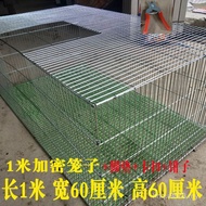 Chicken Cage Bold 7UYI