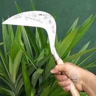 Grosir Ecer Arit | Arit Rumput Sabit Padi Maupun Rumput Liar Asli Garut Jawa Barat Pinising Halus Un