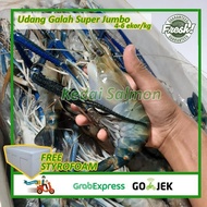 UDANG GALAH JUMBO BESAR 1 KG ISI 4-6 EKOR UDANG GALAH SUPER NEEW