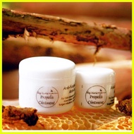 ♞,♘,♙Ilog Maria Propolis Ointment