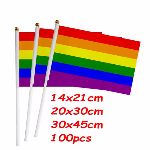 ZXZ 100pcs LGBT gay pride Small national flag 14*21CM 20*30CM Rainbow Hand flag Car Flag American fl