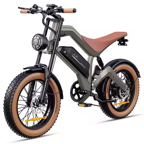 DYU M20 Electric Bike 1500W Peak Motor 48V 18.2Ah Lithium Battery 20x4.0 Inch Fat Tire E-Bike with D