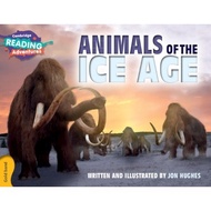 THE ICE AGE (ISBN: 9781107551626)