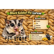 Dried black soldier fly larvae - Sugar glider snack hamster small animals reptiles healthy treat hig