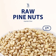 Raw Pine Nuts 1kg Healthy Snacks Wholesale Quality Nuts