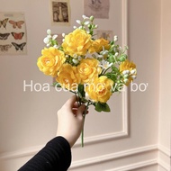 Camellia cluster blooms with 7 flowers with multi-colored seeds - Apricot and avocado flowers