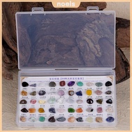 50PCS/Box Geology Rock Specimen Multifunctional Geology Science Educational Toy Decorative for Rock 