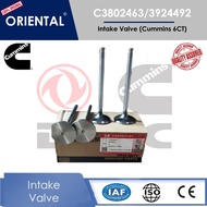 Cummins 3802463/ 3924492 Intake Valve for 6CT & 6CTA & 6CTAA| Cummins Intake Valve | DCEC parts | Cu