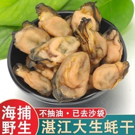 Zhanjiang Dried Oyster Large Dried Oyster Wild Oyster Oyster Tempeh Fresh Extra Large Dried Non-Prem