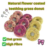 HAMSTER TEETHING🍩Natural flower coated teething donut| Oat grass-high fiber| good for teeth and inte