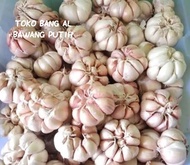 BAWANG PUTIH BERSIH/BAWANG PUTIH MURAH/BAWANG PUTIH KONAN/BAWANG PUTIH KATING/BAWANG PUTIH MURAH 1KG/BAWANG PUTIH 1KG PROMO/BAWANG PUTIH PROMO/BAWANG PUTIH CUTTING/BAWANG PUTIH KUALITAS BAGUS/BAWANG PUTIH IMPOR