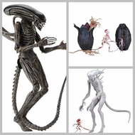 Alien Alien Alien Alien Alien Egg Alien Egg New Variant Alien Joint Movable Model Boxed Figure s