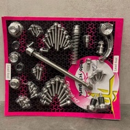 Salaya Full Car Lead 4Val Stainless Steel Screw Set