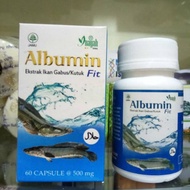 Albumin fit snakehead fish capsules