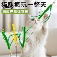 [Pawsy]Cat Teaser Wand Flexible Steel Wire Toy Stick Cat Interactive Play | Mainan Kucing Rotan Flek