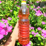 Homemade pure anchovy fish sauce, delicious sauce