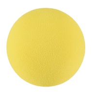 Foam Baseball Bat with Baseball Toy Set for Children Age 3 to 5 Years Old