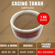 CACING TANAH 1kg Lumbricina Herbal Kaya Nutrisi Kalsium Tifus Syaraf