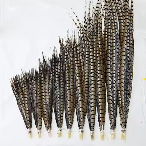 10-110 cm 10/50Pcs/lot Natural Lady Amherst Pheasant Center Tail Feathers for Crafts Decorative Diy 