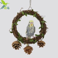 Pine Nut Green Rattan Ring Swing Toy Bird Parrot Toys Puzzle Bite Ring Parrot Swing Bird Cage Accessories-Parrot Bird Stand / Stand Cage / Bird Cage Stand / Platform Ring
