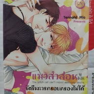 Second-Hand Bl Manga Slutty Cat