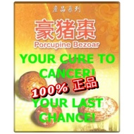 100%纯正印尼进口正品豪猪枣/箭猪枣 能医百病Pure 100% Indonesia imported authentic Porcupine Bezoar /Porcupine Bezoar