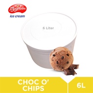 Magnolia Choc O' Chips 6L Ice Cream