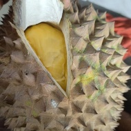 Promo Durian Utuh Fresh Petruk