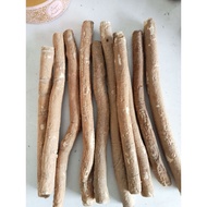 Siwak Zanbal Original Tarim Miswak Siwak