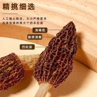 Morel แท้จากมณฑลยูนนานสินค้าพิเศษที่สดใหม่แห้งส่วนผสมที่มีคุณค่าทางโภชนาการและบำรุงสุขภาพหม้อซุป