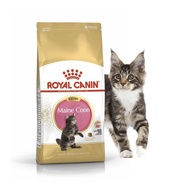 WHY Royal Canin Mainecoon Kitten 400gr RC Kitten Mainecoon 400 gr