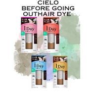Cielo 1Day 1Day Gray Hair Concealer Dark Brown Before Going Out Dye for Just One Day Gray Hair Dye H