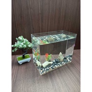 Aquarium 25x15x20 Cm Custom Acrylic Jumbo Aquarium Acrylic Material 3 mm