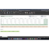 Weekly Sales Report System for Excel