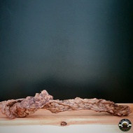 Furry Treats Beef Lungs