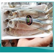 ปลาทูมัน ไซส์กลาง ซีลสูญญากาศ เค็มกำลังดี ปลาทูเค็มคุณภาพดี  อาหารทะเลแห้ง อาหารแห้ง ของดีเมืองระยอง