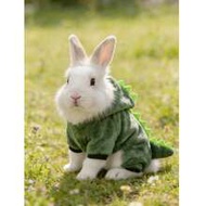 1pc Dinosaur Pattern Vest, Cute Dinosaur Design Warm Sweatshirt For Spring & Autumn, Rabbit Pet Acce