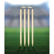 Cricket Wicket/Kriket Wicket for kids ( Ready stock available) below 14 age made of wood with stump