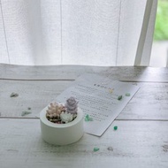 【擺飾小物】香氛擴香石- 能量水晶+仙人掌多肉植物盆栽