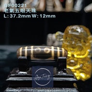 Dzi 🇲🇾 老氣五眼天珠 5-Eyed Dzi GF00221