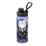 How To Train Your Dragon Large capacity insulated water bottle 18OZ,Cartoon insulated kettle 500ML s