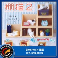 現貨日本EPOCH扭蛋棚貓書架櫃子書櫃上的貓和雜貨02